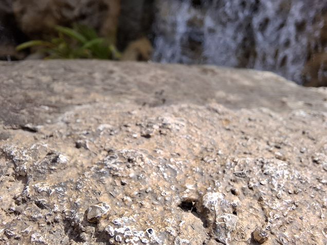 Galaxy A55