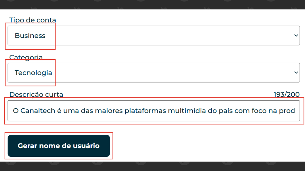 Captura de tela do gerador de user do Instagram do Hootsuite