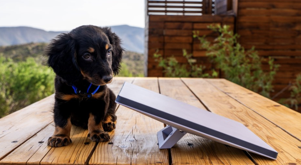 Antena Starlink Mini