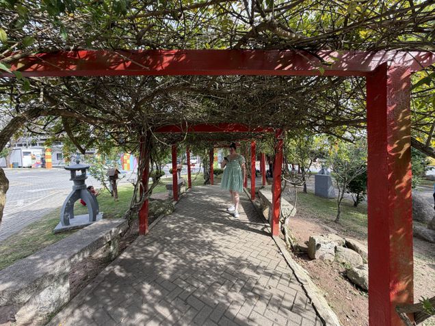 iPhone 17 Pro - Câmera ultrawide