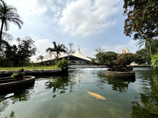 iPhone 15 / Câmera ultrawide