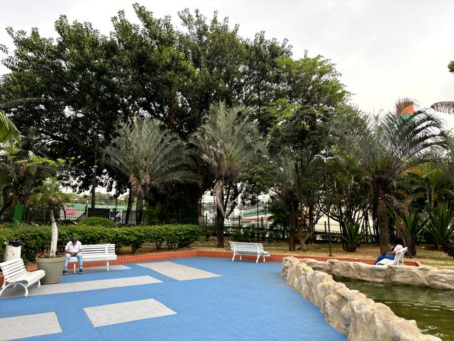 iPhone 15 / Câmera principal