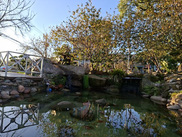 Galaxy A56 - Câmera principal