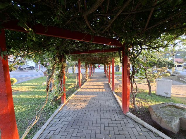 Galaxy A56 - Câmera ultrawide