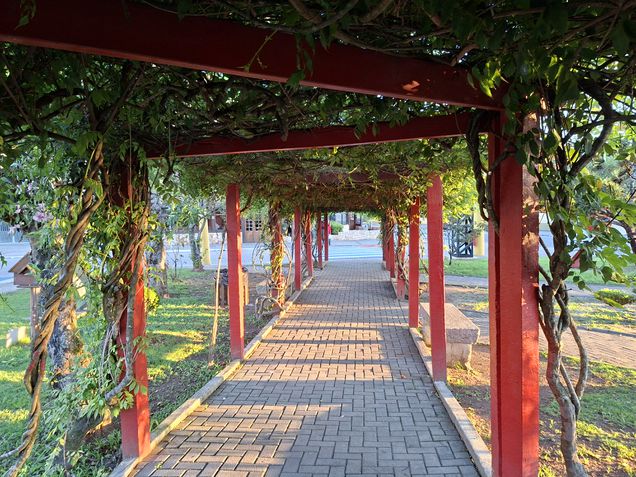 Galaxy A56 - Câmera principal