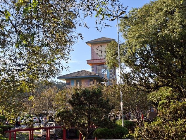 Galaxy A56 - Câmera principal / zoom 2x