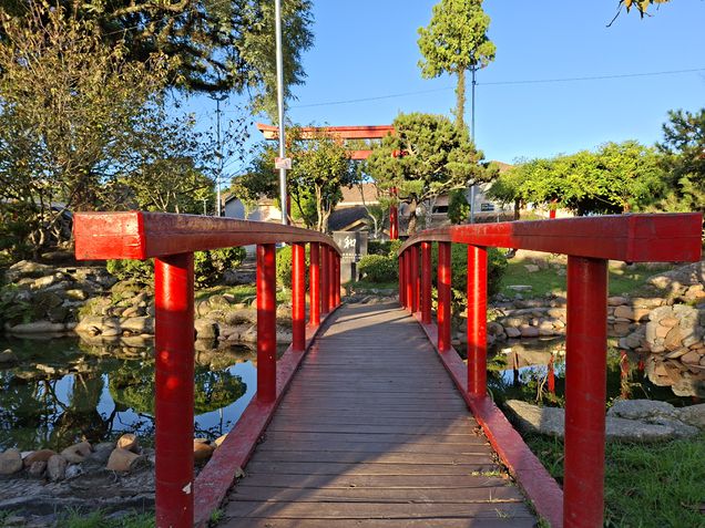 Galaxy A56 - Câmera principal