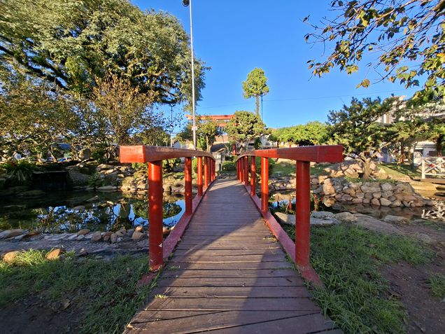 Galaxy A56 - Câmera ultrawide