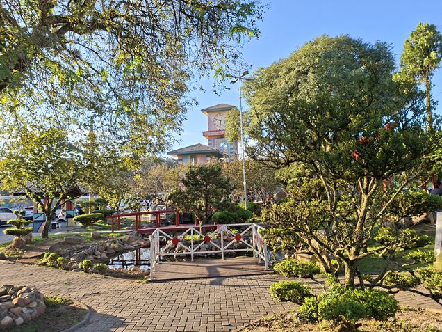 Galaxy A56 - Câmera principal