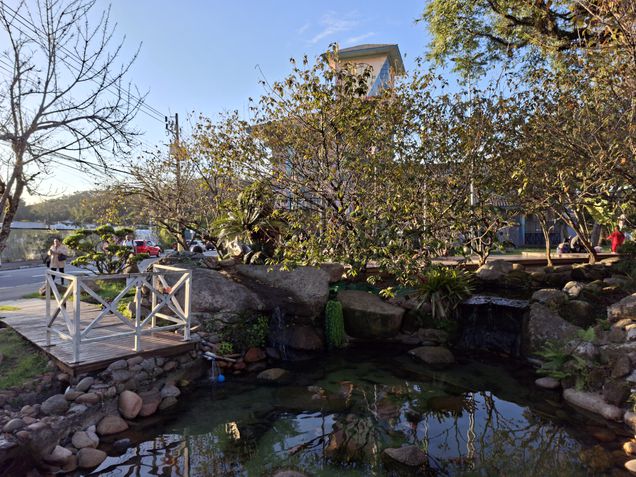 Galaxy A56 - Câmera principal / modo 50 MP