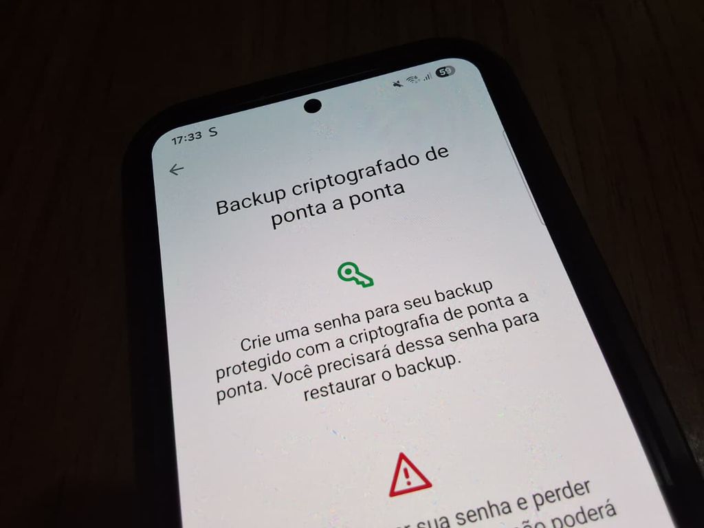 A Meta afirma que a criptografia de ponta-a-ponta do aplicativo impede que suas comunicações sejam interceptadas, mas fotos de perfil e outras informações ficam públicas caso o usuário permita (Imagem: Viviane França/MARQS)