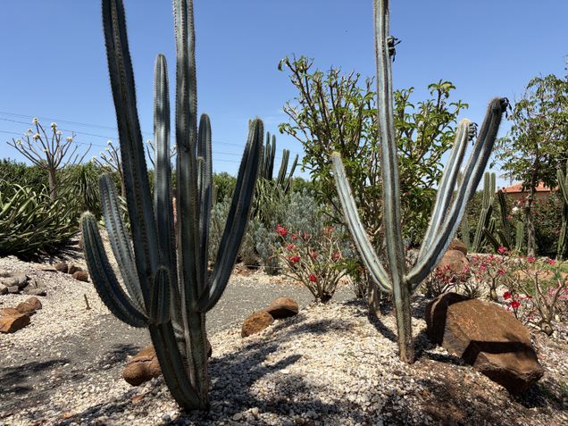 iPhone Air - Câmera traseira