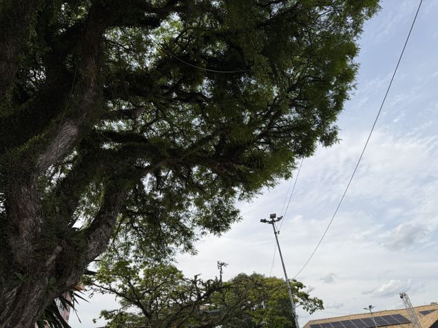 iPhone 17 Pro - Câmera principal