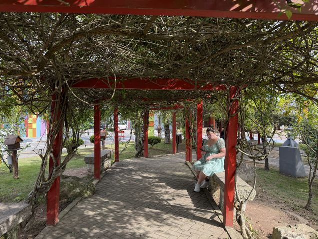 iPhone 17 Pro - Câmera principal