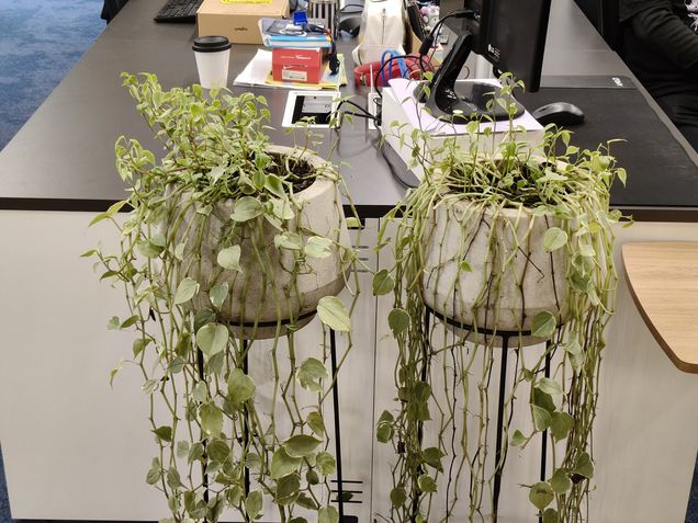 Teste de câmeras - Realme 15