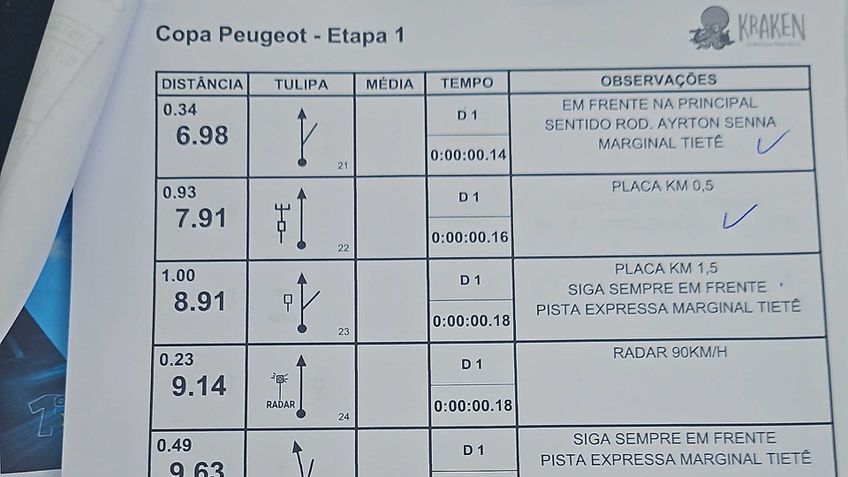 Peugeot 208 e Peugeot 2008 Hybrid - Rally urbano