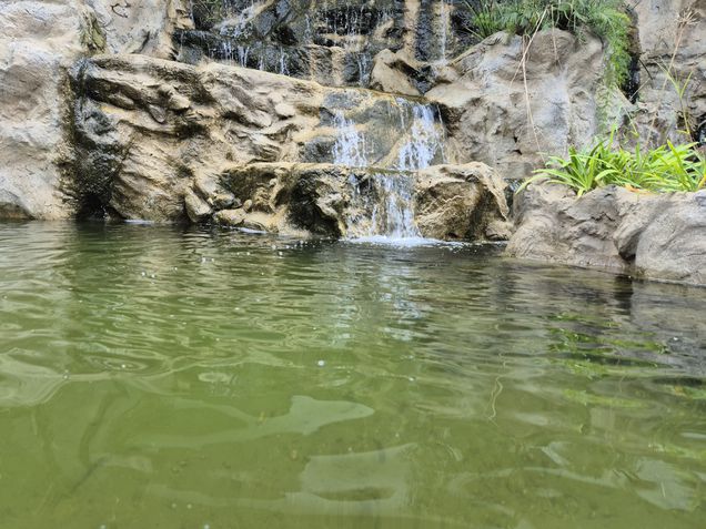 Galaxy S24 Plus - Câmera principal