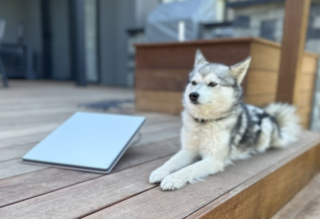 antena starlink mini