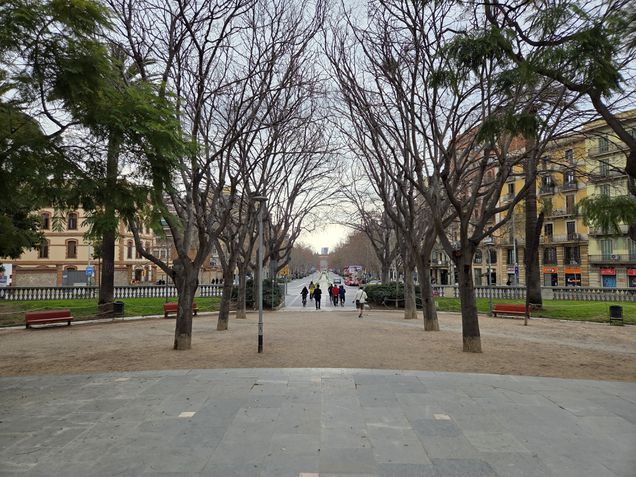 Galaxy S25 - Câmera principal