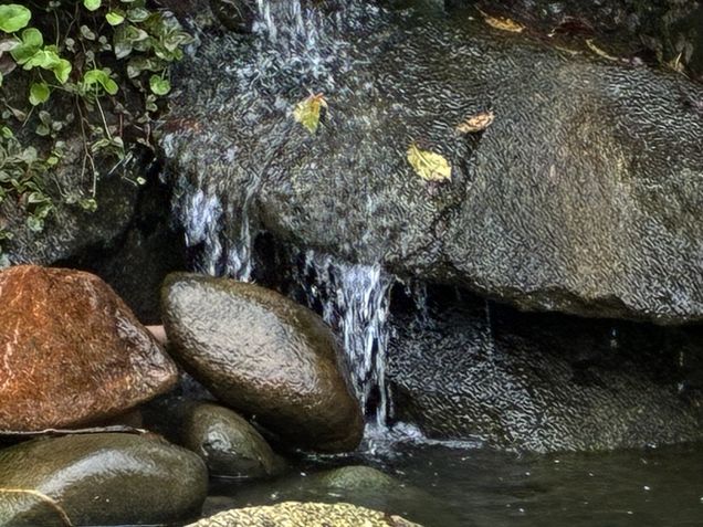 iPhone 16e - Câmera traseira