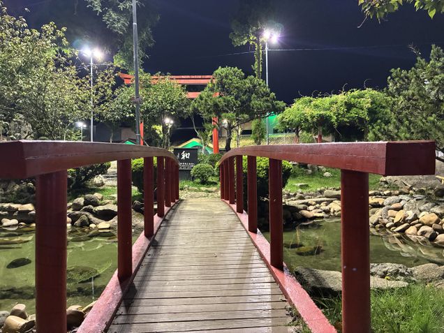 iPhone 16e - Câmera traseira / modo noturno