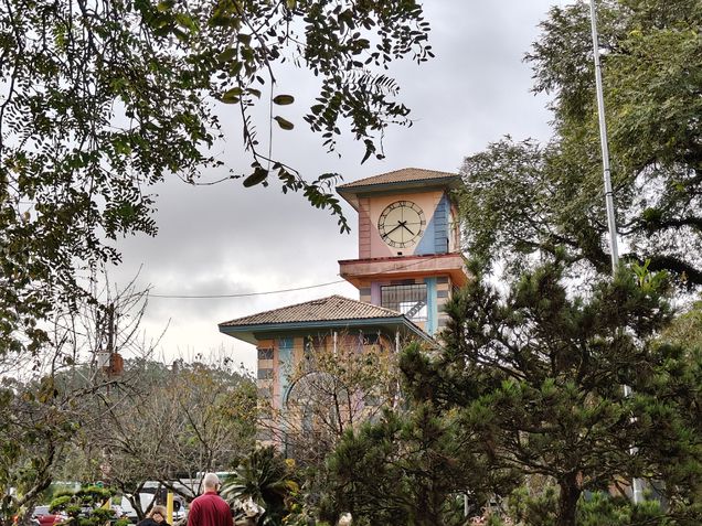 Realme 14 Pro Plus  - zoom 2x