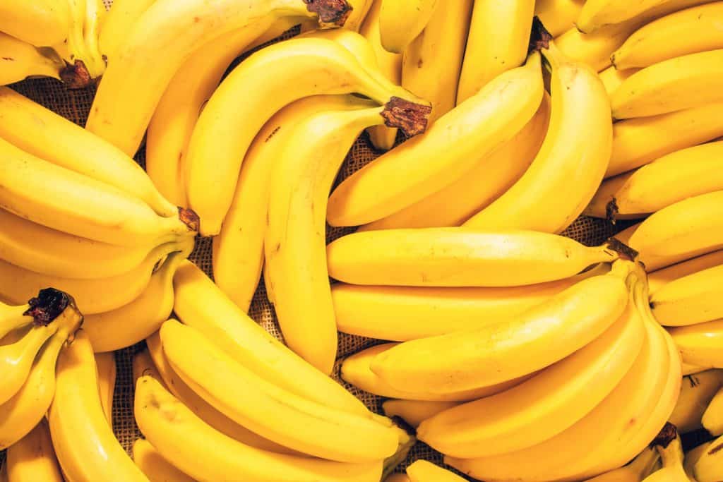 Bananas (Crédito: Hanna_photo/ shutterstock)